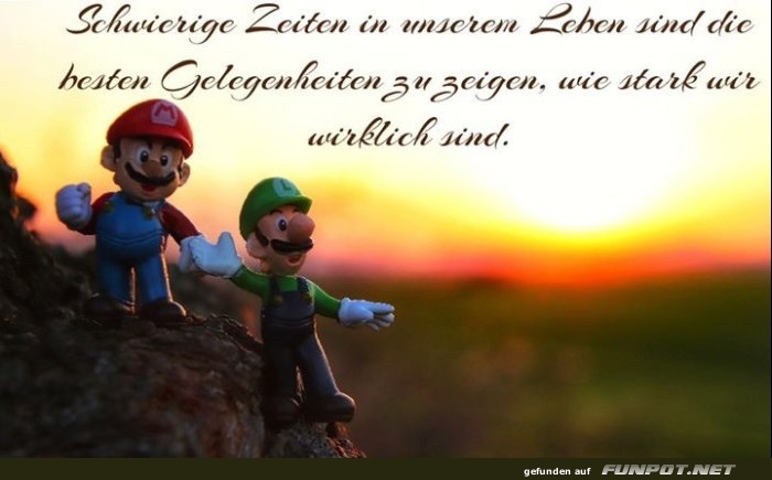 10 sch�ne Spr�che und Lebensweisheiten aus...