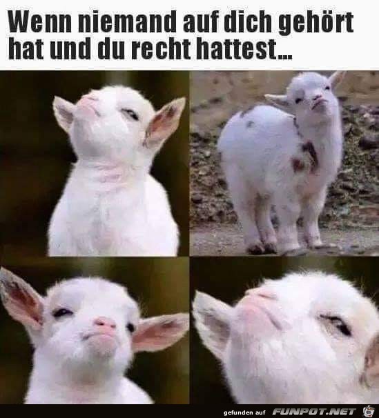 wenn niemand