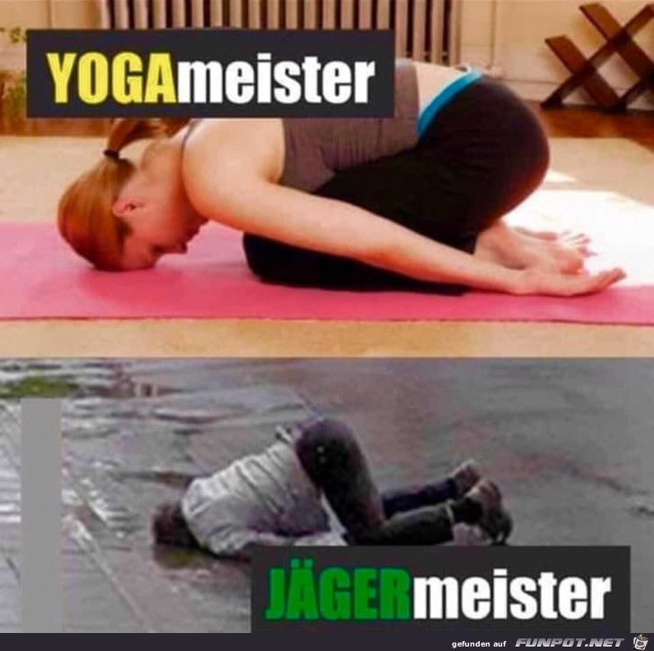 yogameister