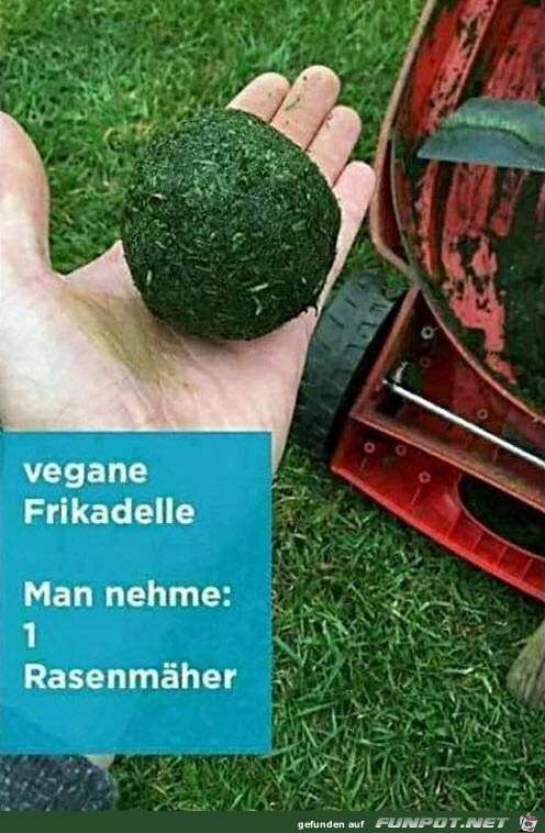 Rasen-Frikadelle Rasen-Frikadelle