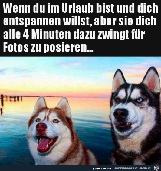Dämliche Fotos Dämliche Fotos