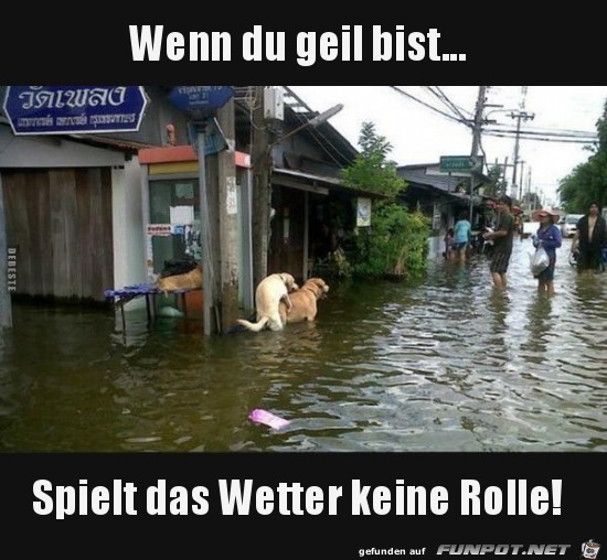 Wasser macht nichts