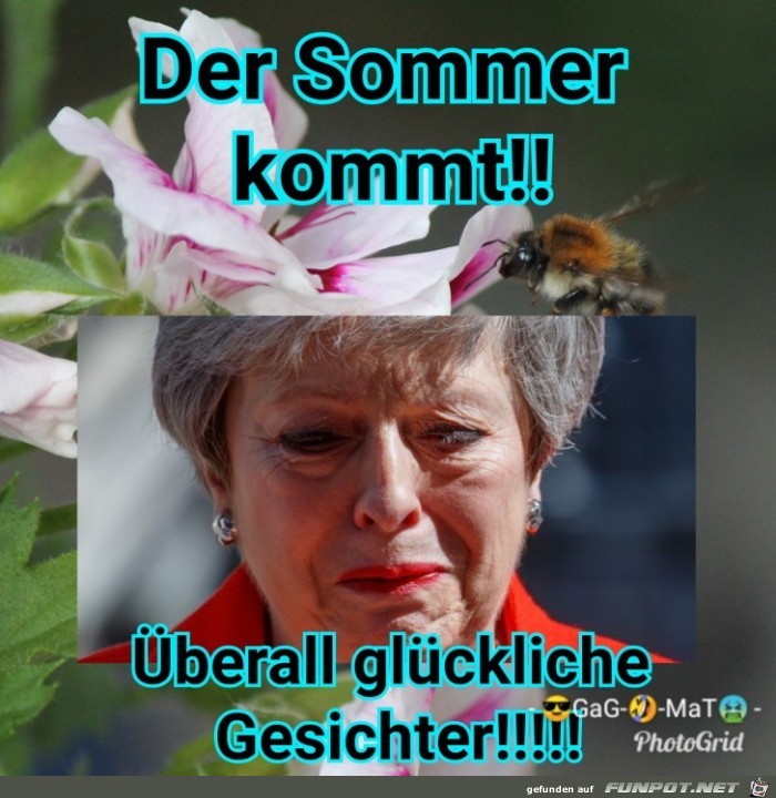 SOMMER MACHT GLCKLICH