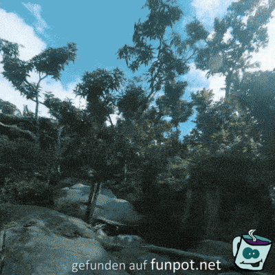 Klippenspringer Klippenspringer