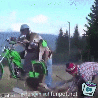 Motorrad-Säge Motorrad-Säge