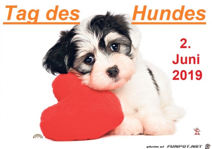 Tag des Hundes 2019 Tag des Hundes 2019