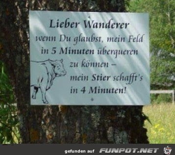 Wanderer Wanderer