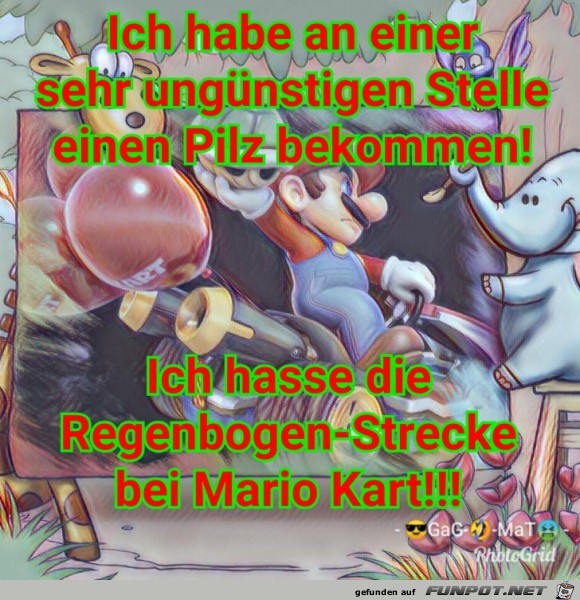 Pilz Pilz