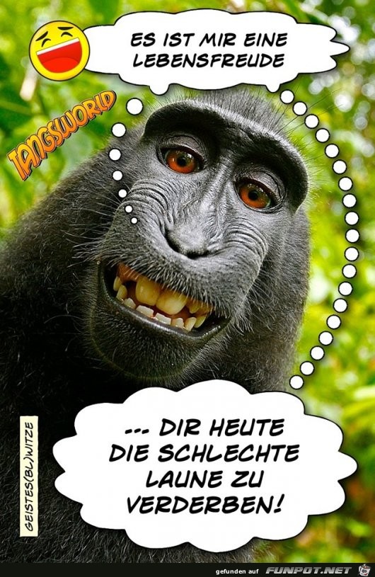 es ist mir eine lebensfreude