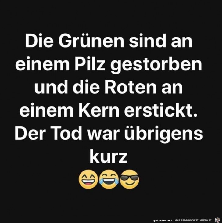 die gruenen die gruenen