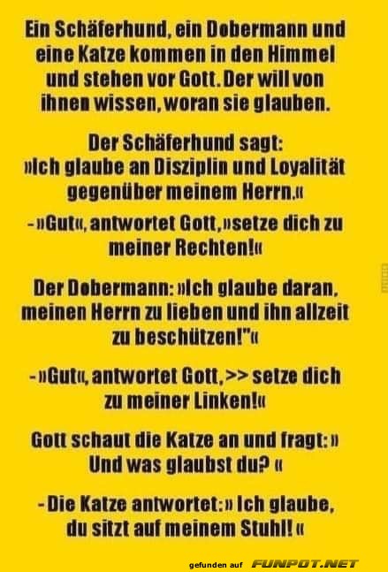 ein schaeferhund ein schaeferhund
