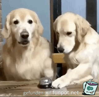 Klingel Klingel