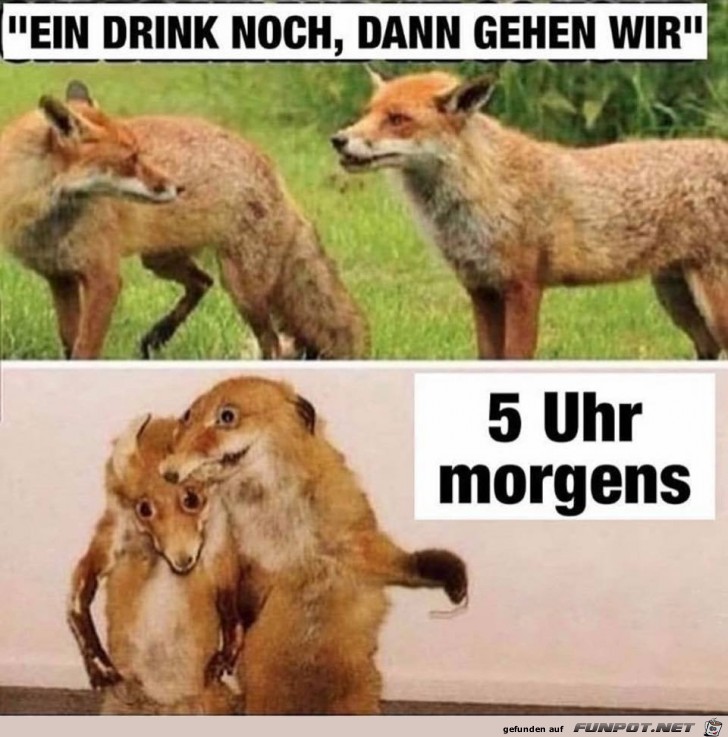 So kann es gehen