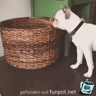 Gutes Versteck Gutes Versteck