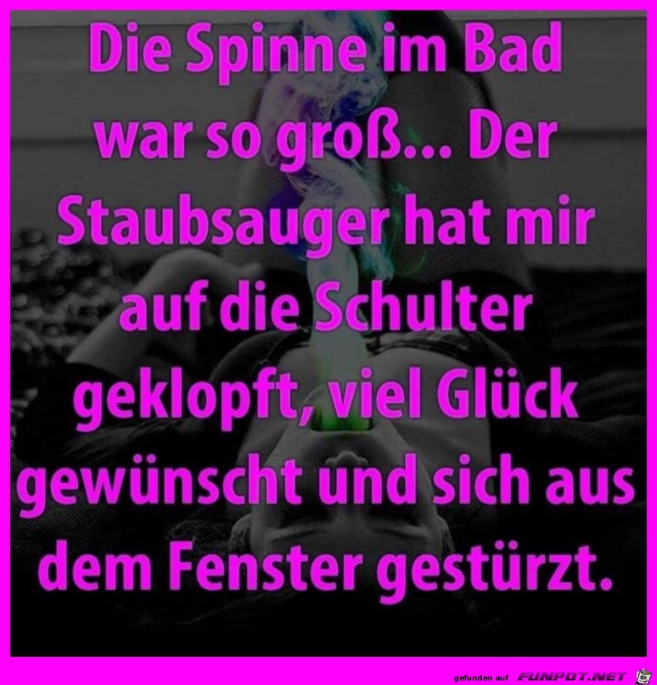 Große Spinne Große Spinne