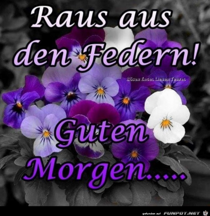 Raus aus den Federn Raus aus den Federn