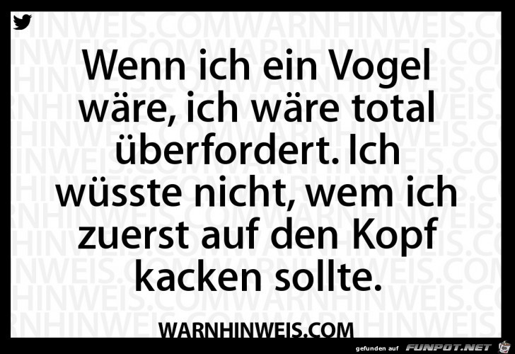 Wenn ich ein Vogel wre