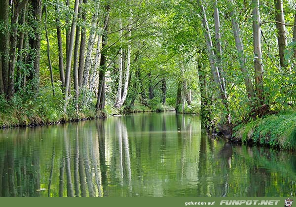 Der Spreewald