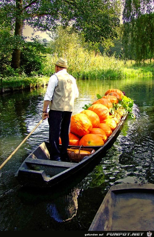 Der Spreewald