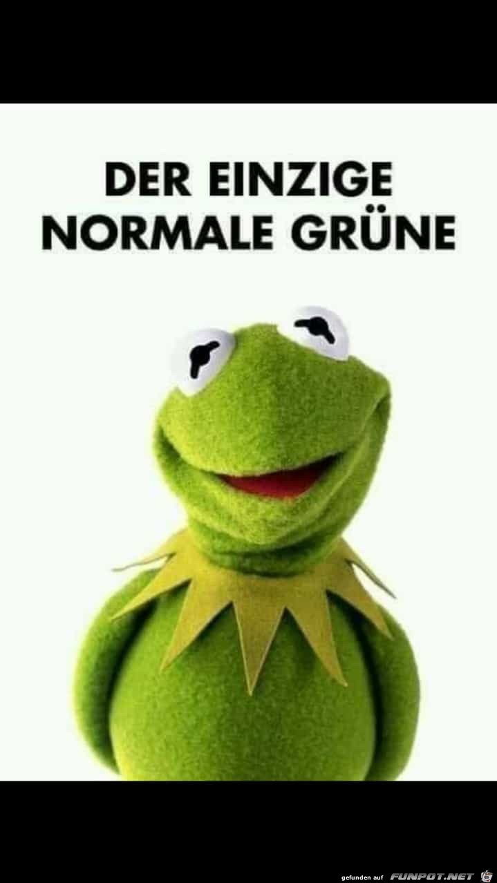 Gruene Gruene