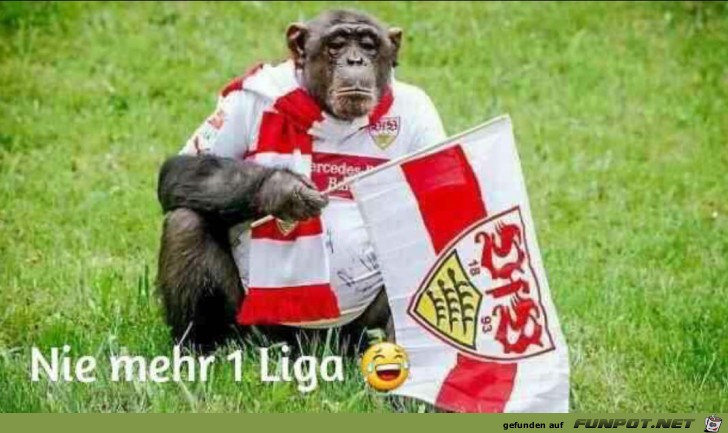 1. Liga 1. Liga