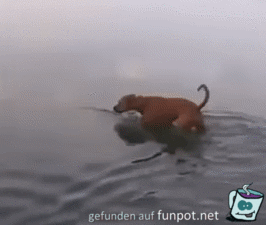 Hilfe was war da Hilfe was war da
