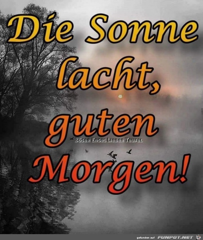 Die Sonne lacht