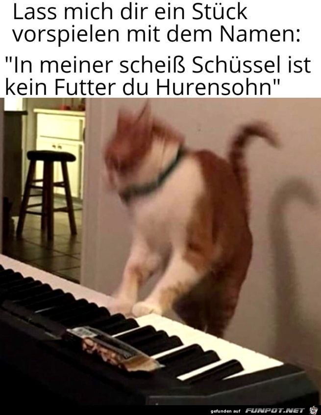 Wo bleibt mein Futter Wo bleibt mein Futter