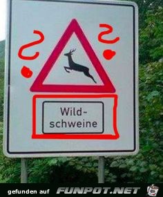 Wild Wild