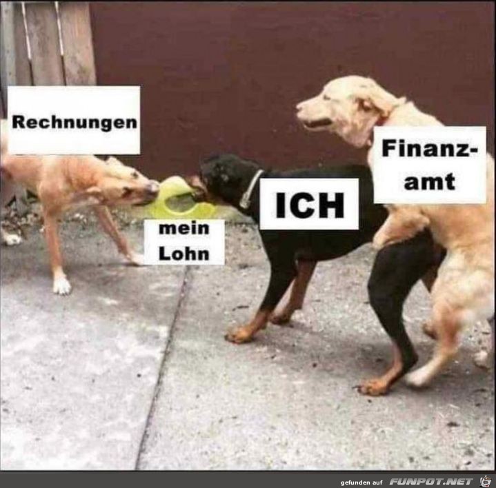 Finanzamt Finanzamt