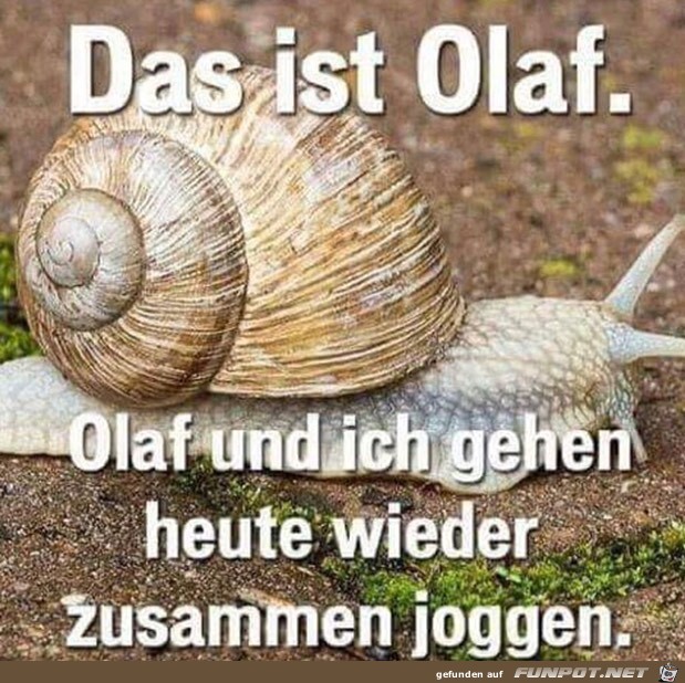 Olaf Olaf