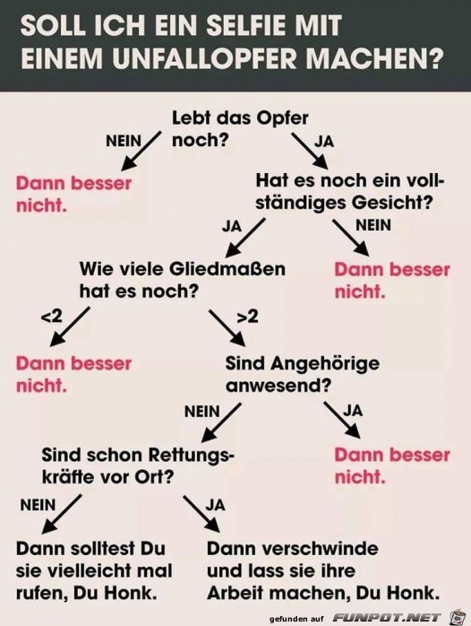 Hol Hilfe du Honk Hol Hilfe du Honk