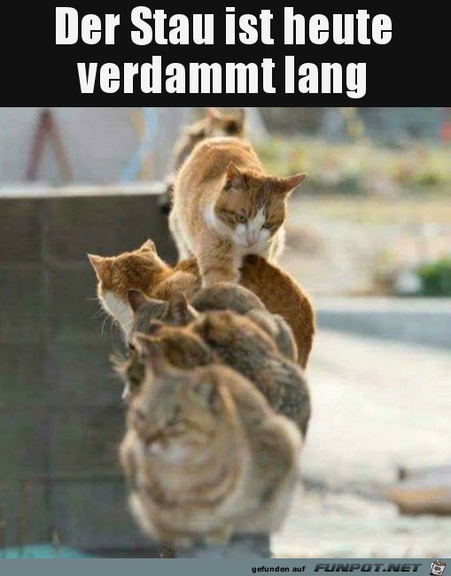 Stau Stau