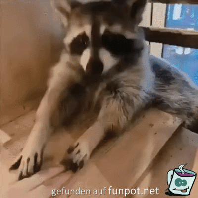 Knuffig Knuffig