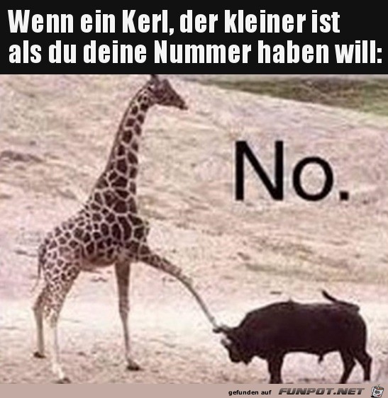 Kleinerer Kerl Kleinerer Kerl