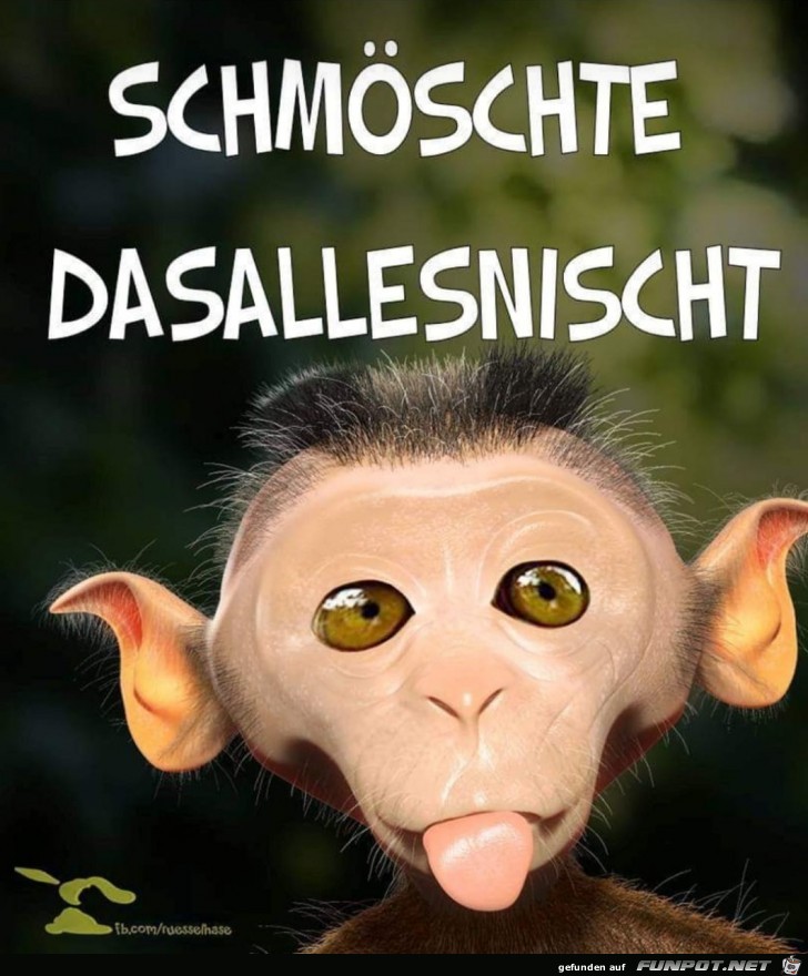 Hahaha Hahaha