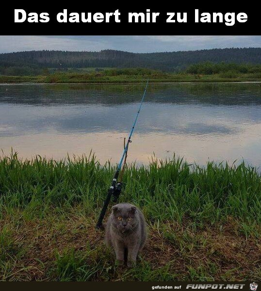 Langweilig Langweilig