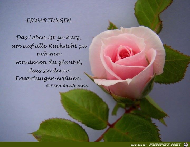 erwartungen erwartungen