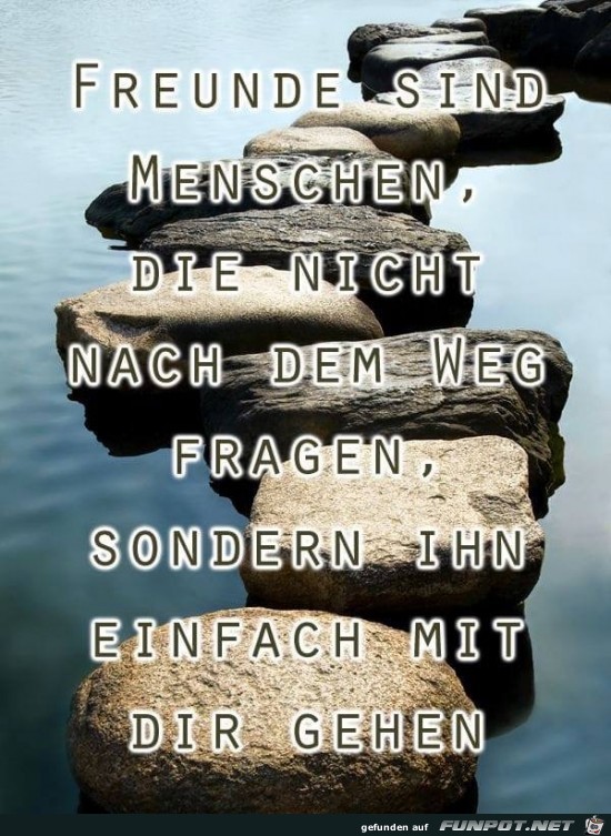 freunde sind menschen freunde sind menschen