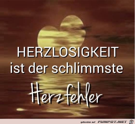 herzlosigkeit herzlosigkeit