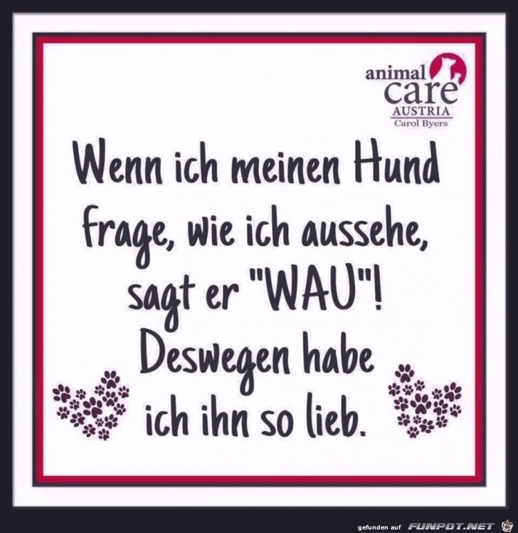 wenn ich meinen hund wenn ich meinen hund