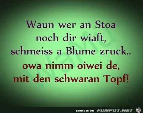 Wenn wer einen Stein nach dir wirft wirf eine Blume zurueck Wenn wer einen Stein nach dir wirft wirf eine Blume zurueck