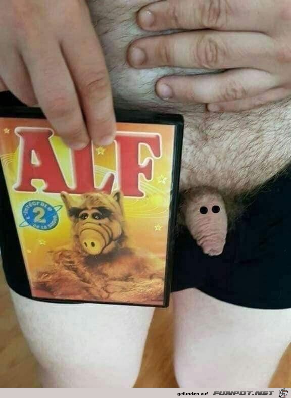 Alf Alf