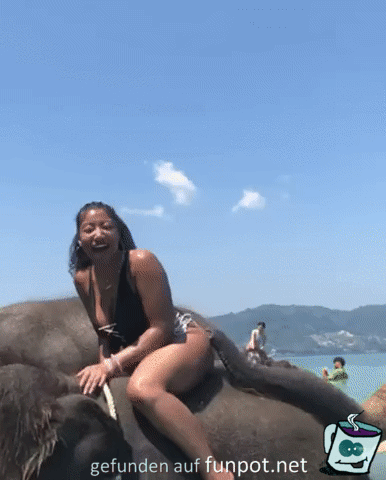 Lustiger Elefant Lustiger Elefant