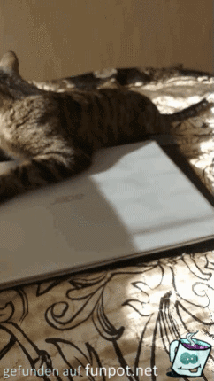 Schluss jetzt mit dem Laptop Schluss jetzt mit dem Laptop