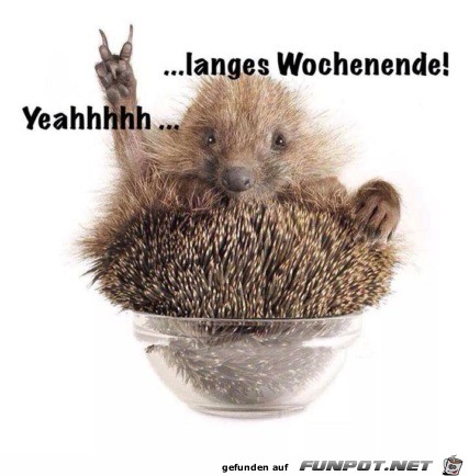 Wochenende