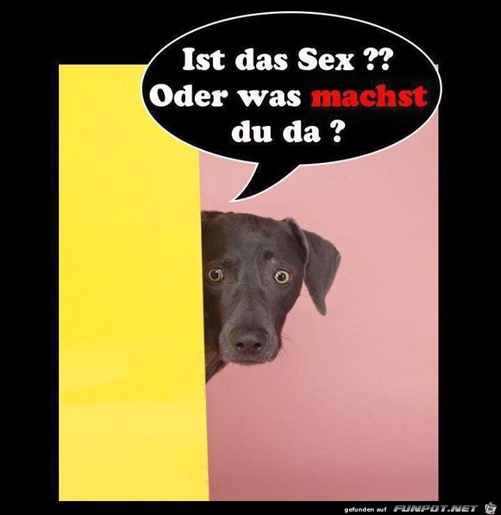 Was machst du da Was machst du da