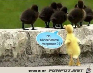 Sonnencreme vergessen Sonnencreme vergessen