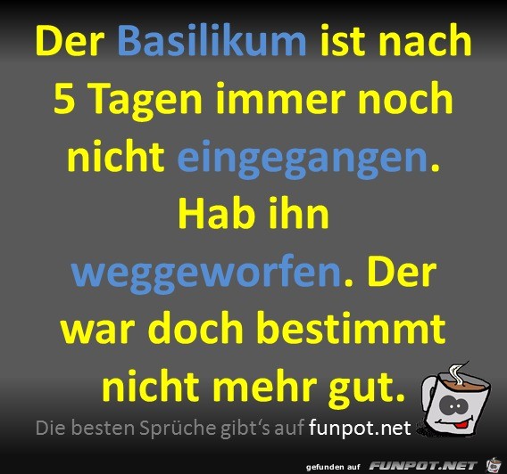 Basilikum Basilikum