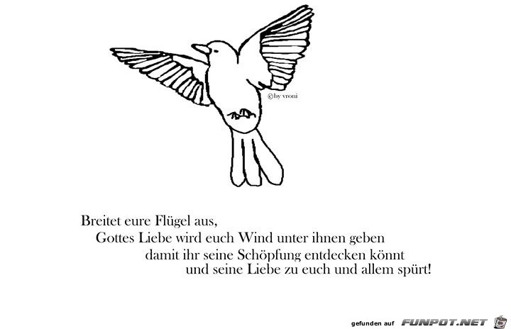 breitet eure Fluegel aus breitet eure Fluegel aus
